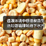 通源环境中标临泉县生活垃圾填埋场地下水污染防控与综合治理工程项目(图3) 通源环境中标临泉县生活垃圾填埋场地下水污染防控与综合治理工程项目(图3)