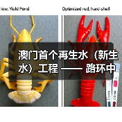 澳门首个再生水(新生水)工程 —— 路环中水站一期建设推进!金科环境助力水资源循环利用(图1) 澳门首个再生水(新生水)工程 —— 路环中水站一期建设推进!金科环境助力水资源循环利用(图1)
