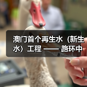 澳门首个再生水(新生水)工程 —— 路环中水站一期建设推进!金科环境助力水资源循环利用(图2) 澳门首个再生水(新生水)工程 —— 路环中水站一期建设推进!金科环境助力水资源循环利用(图2)