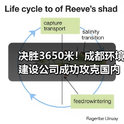 决胜3650米!成都环境建设公司成功攻克国内首次高原超长大管径紫外光固化修复工程(图3) 决胜3650米!成都环境建设公司成功攻克国内首次高原超长大管径紫外光固化修复工程(图3)