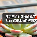 都是国企!四湘企拿下 7.88 亿供水特许经营项目(图2) 都是国企!四湘企拿下 7.88 亿供水特许经营项目(图2)