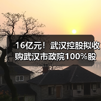 16亿元!武汉控股拟收购武汉市政院100%股权(图2) 16亿元!武汉控股拟收购武汉市政院100%股权(图2)