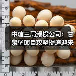 中建三局绿投公司:甘泉堡项目攻坚提速迎来关键节点(图1) 中建三局绿投公司:甘泉堡项目攻坚提速迎来关键节点(图1)