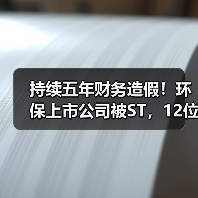 持续五年财务造假!环保上市公司被ST,12位高管遭处罚(图2) 持续五年财务造假!环保上市公司被ST,12位高管遭处罚(图2)