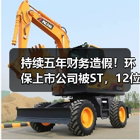 持续五年财务造假!环保上市公司被ST,12位高管遭处罚(图3) 持续五年财务造假!环保上市公司被ST,12位高管遭处罚(图3)