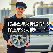 持续五年财务造假!环保上市公司被ST,12位高管遭处罚(图4) 持续五年财务造假!环保上市公司被ST,12位高管遭处罚(图4)