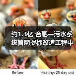 约1.3亿 合肥一污水系统管网提标改造工程中标候选人公示(图2) 约1.3亿 合肥一污水系统管网提标改造工程中标候选人公示(图2)