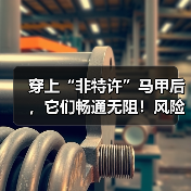 穿上“非特许”马甲后,它们畅通无阻!风险、边界等引深思(图1) 穿上“非特许”马甲后,它们畅通无阻!风险、边界等引深思(图1)