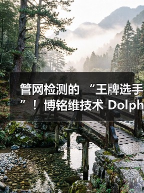 管网检测的 “王牌选手”!博铭维技术 Dolphin-X/Z 到底有多能打?(图3) 管网检测的 “王牌选手”!博铭维技术 Dolphin-X/Z 到底有多能打?(图3)