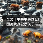 全文 | 中共中央办公厅 国务院办公厅关于推进绿色低碳转型加强全国碳市场建设的意见(图3) 全文 | 中共中央办公厅 国务院办公厅关于推进绿色低碳转型加强全国碳市场建设的意见(图3)