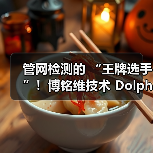 管网检测的 “王牌选手”!博铭维技术 Dolphin-X/Z 到底有多能打?(图4) 管网检测的 “王牌选手”!博铭维技术 Dolphin-X/Z 到底有多能打?(图4)