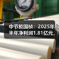 中节能国祯：2025年上半年净利润1.81亿元，同比下降6.16%（图2）
