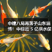中建八局再落子山东淄博!中标近 5 亿供水保障工程,3 个月内连揽两大重点项目(图1) 中建八局再落子山东淄博!中标近 5 亿供水保障工程,3 个月内连揽两大重点项目(图1)