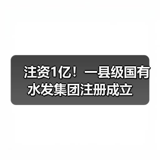 注资1亿!一县级国有水发集团注册成立(图4) 注资1亿!一县级国有水发集团注册成立(图4)