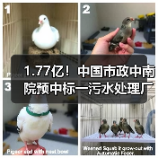 1.77亿!中国市政中南院预中标一污水处理厂扩建工程项目(图1) 1.77亿!中国市政中南院预中标一污水处理厂扩建工程项目(图1)