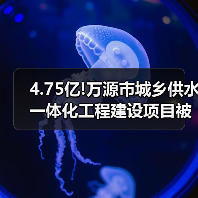 4.75亿!万源市城乡供水一体化工程建设项目被三大国企收入囊中（图4）