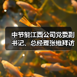 中节能江西公司党委副书记、总经理张维拜访中稀江西公司党委书记、董事长黄华勇(图2) 中节能江西公司党委副书记、总经理张维拜访中稀江西公司党委书记、董事长黄华勇(图2)