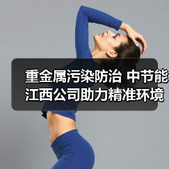 重金属污染防治 中节能江西公司助力精准环境监管(图1) 重金属污染防治 中节能江西公司助力精准环境监管(图1)