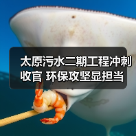 太原污水二期工程冲刺收官 环保攻坚显担当(图4) 太原污水二期工程冲刺收官 环保攻坚显担当(图4)