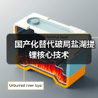 国产化替代破局盐湖提锂核心技术(图3) 国产化替代破局盐湖提锂核心技术(图3)